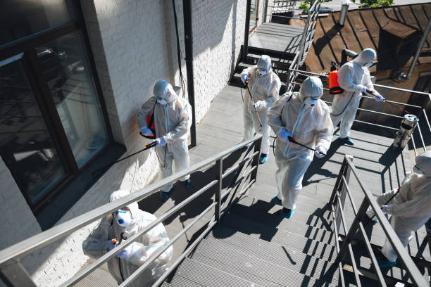 Best Crawl Space Mold Remediation  in Ogden, IA