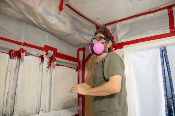 Best Basement Mold Removal  in Ogden, IA
