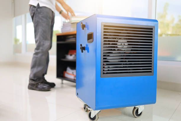 Best Biohazard Mold Removal  in Ogden, IA